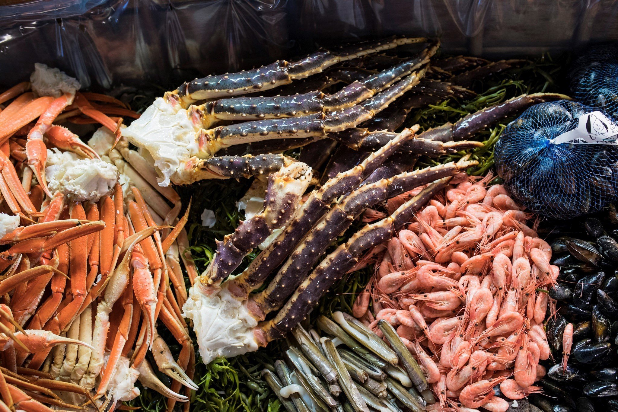 Белый морепродукт. Морские продукты. Деликатесы морепродукты. Съедобные морепродукты. Чили морепродукты.