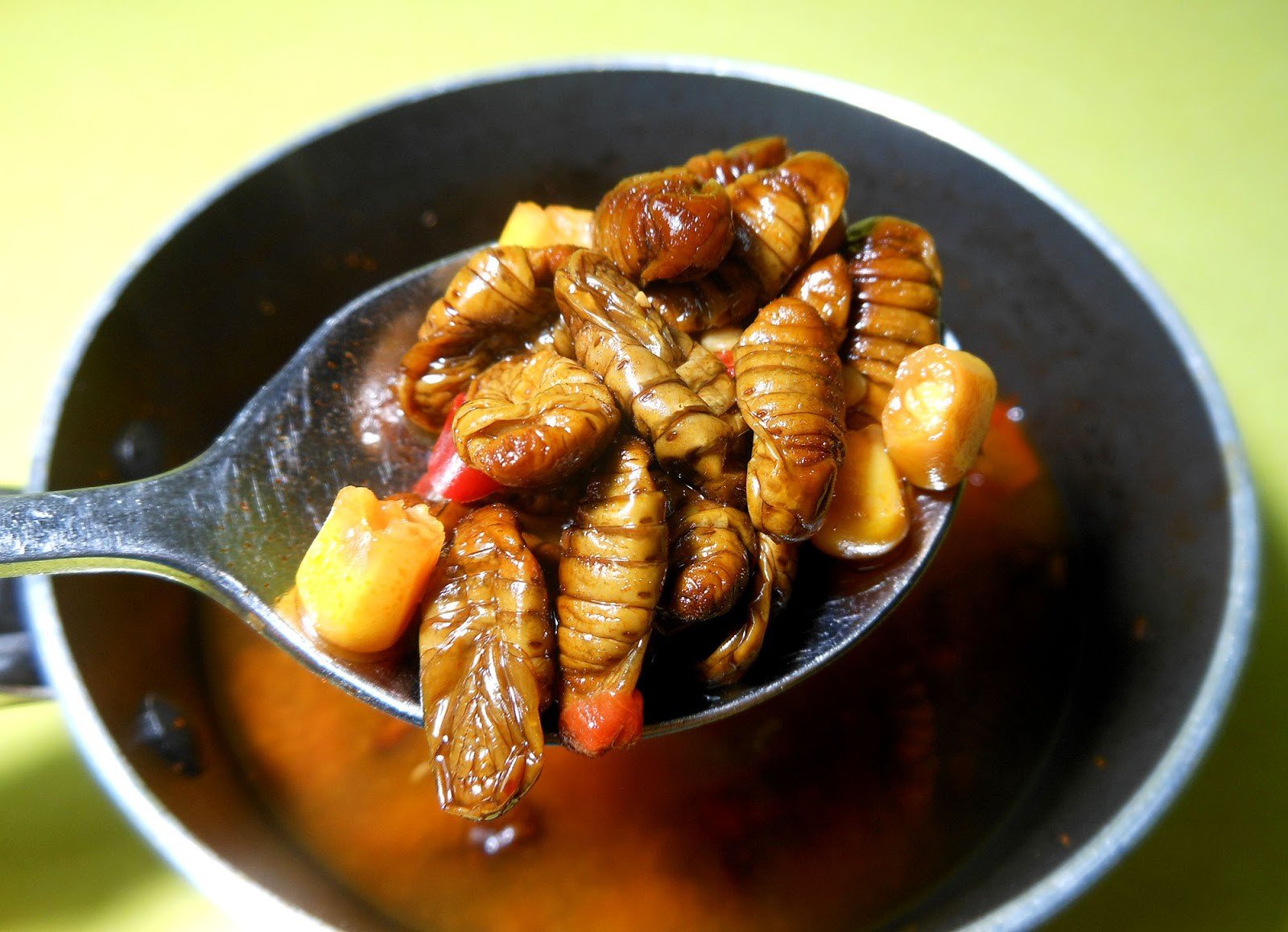 Неприятного аппетита. Личинки шелкопряда в Корее. Личинки шелкопряда жареные. Корейская еда личинки шелкопряда.